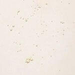 Beauty of Joseon Ginseng Cleansing Oil - immagine 3